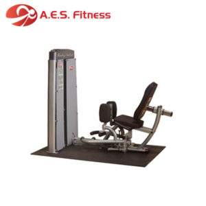 Body-Solid DIOT-SF Pro Dual Inner & Outer Thigh Machine (New) - A.E.S.  FitnessA.E.S. Fitness